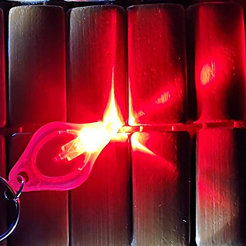 Pack of 6 Red Light with Red Shell Mini Red LED Keychain Flashlight Red Light Keychain Flashlight RaySoar Red Keychain Flashlight Red Keychain Light