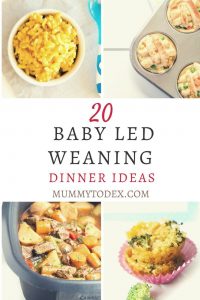 20 Baby Led Weaning Dinner Ideas | Mummy to Dex
