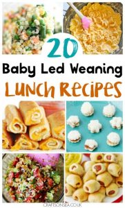 20 Baby Led Weaning Lunch Ideas