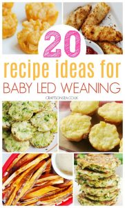 baby led weaning recipes 6 months