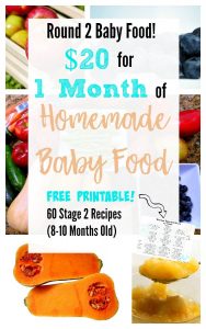 $20 for 1 Month of Stage 2 Homemade Baby Food- with Free Printable of 60 Recipes!