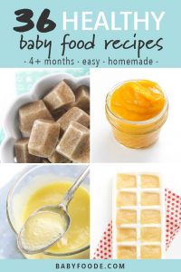 36 Healthy + Homemade Baby Food Recipes (4+ Months)